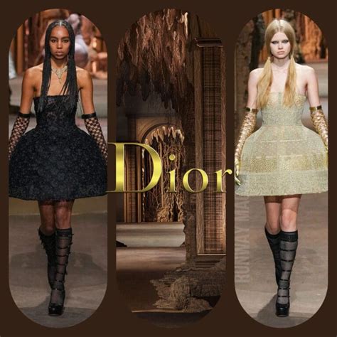 wwd women dior|Dior top women.